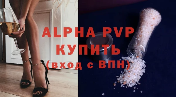 хмурый Бикин