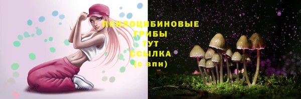 меф Медвежьегорск