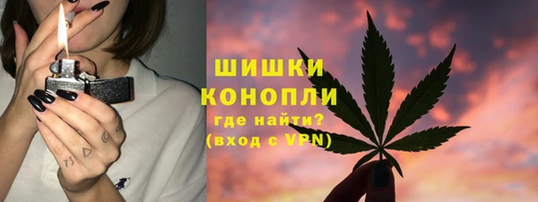 spice Билибино