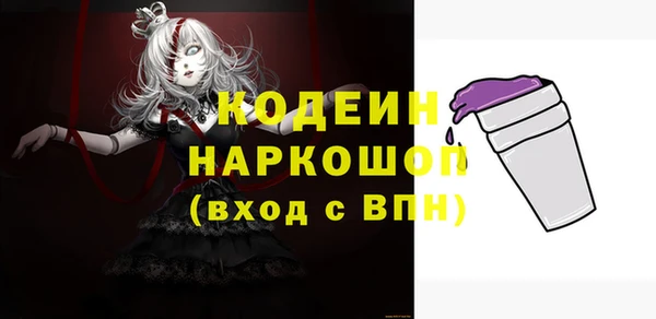 хмурый Бикин