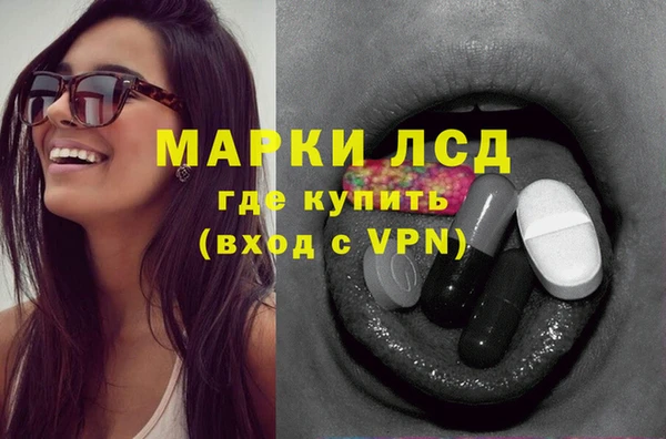 хмурый Бикин
