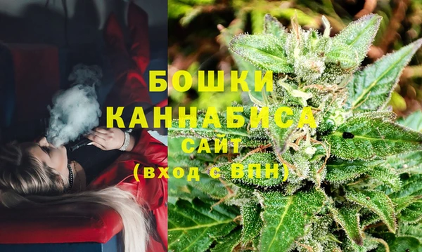 spice Билибино