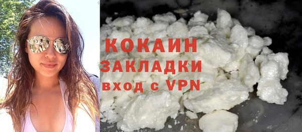 хмурый Бикин