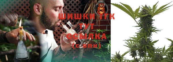 spice Билибино
