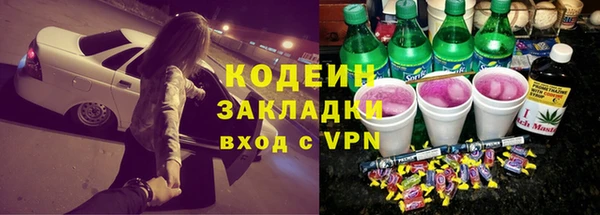 ПСИЛОЦИБИНОВЫЕ ГРИБЫ Новозыбков