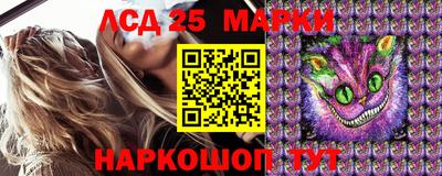 мдпв Жуковский