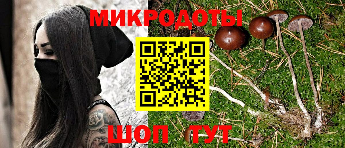 Галлюциногенные грибы ЛСД Соль-Илецк